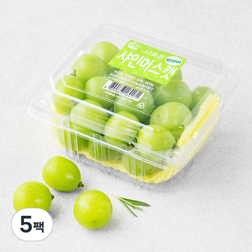 다조은 알알이 샤인머스켓, 300g, 5팩