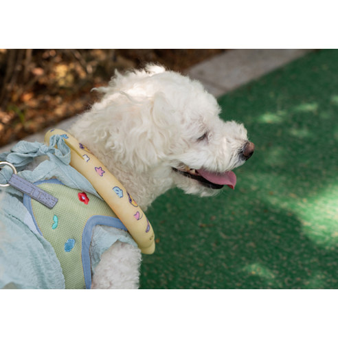 귀여움과 시원함을 동시에! 카카오프렌즈 넥쿨러 밴드로 쾌적한 여름을!