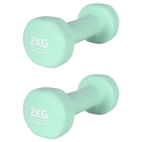 에르고기어 네오프렌 아령, 2kg, 2개
