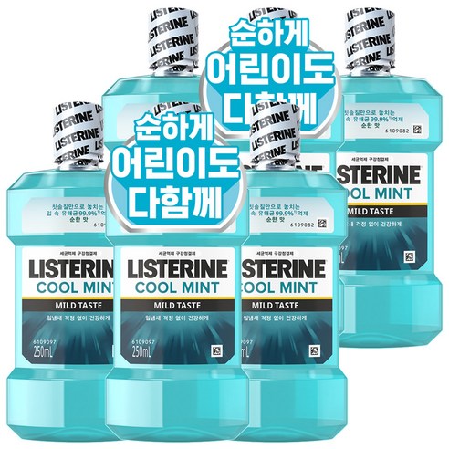 리스테린 쿨민트 마일드 구강청결제, 250ml, 6개