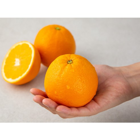 신선한 오렌지를 할인된 가격으로 배송받을 수 있는 곰곰 호주산 네이블 오렌지