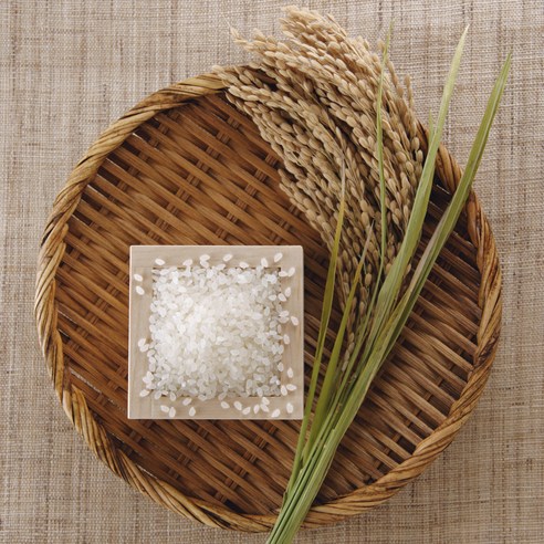 자연이 빚은 풍요, 2024년산 청원생명쌀 왕의밥상 백미