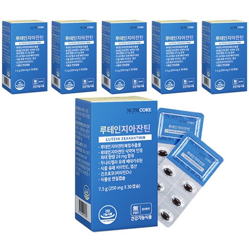 뉴트리코어 루테인지아잔틴 영양제, 30정, 6개