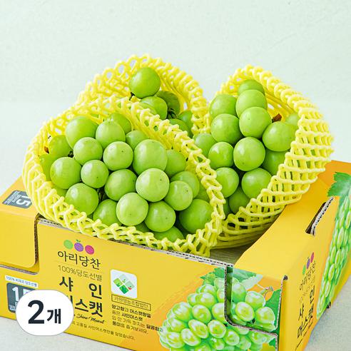 아리당찬 당도선별 샤인머스캣, 1kg, 2팩