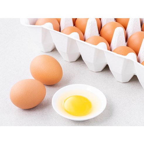 동물복지 인증 유정란, 건강하고 맛있는 계란, 냉장 보관, 로켓프레시