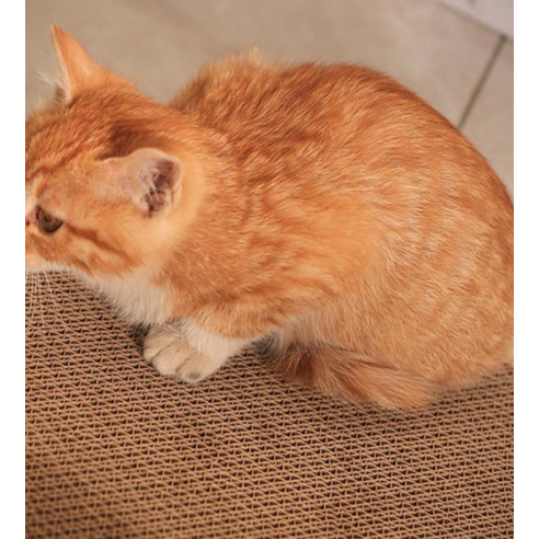 Ding Ding Pet Tape - Etsy