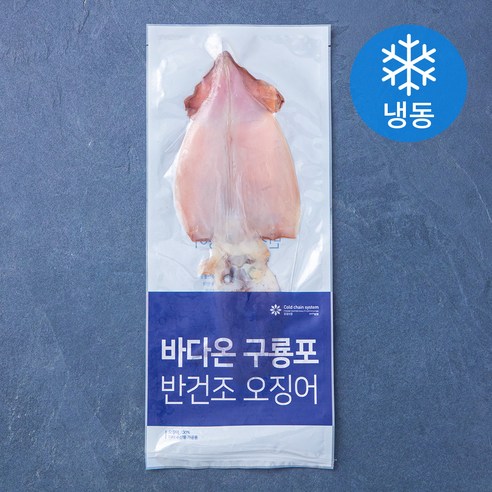 바다온 포항시 인증 한마리 구룡포 반건조 오징어 (냉동), 130g, 1개