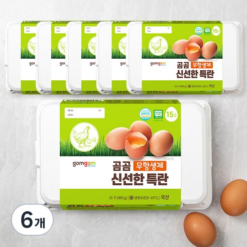 곰곰 무항생제 신선한 특란, 15구, 6개