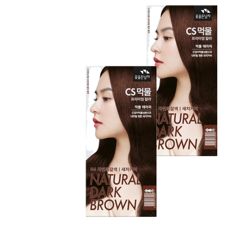 꽃을든남자 CS 먹물 헤어칼라 염모제, N4 자연흑갈색, 2개