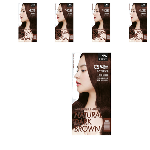 꽃을든남자 CS먹물 프리미엄 칼라크림 염모제, N4 자연흑갈색, 5개
