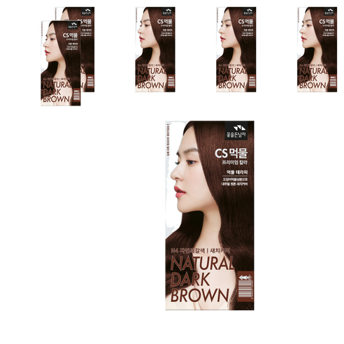 꽃을든남자 CS먹물 프리미엄 칼라크림 염모제, N4 자연흑갈색, 6개