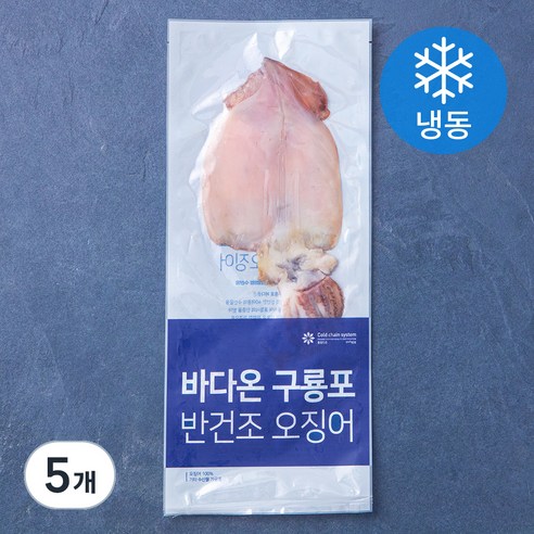 바다온 포항시 인증 한마리 구룡포 반건조 오징어 (냉동), 110g, 5개