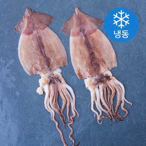 바다온 포항시 인증 구룡포건조 원양산 반건조 오징어 2미 (냉동), 270g, 1개