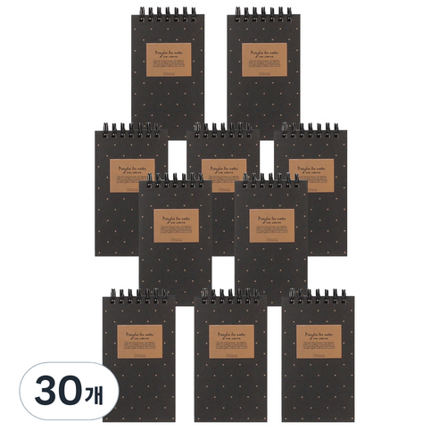 톡톡팬시 1000 포켓북 상철수첩 60매, 도트 블랙, 30개