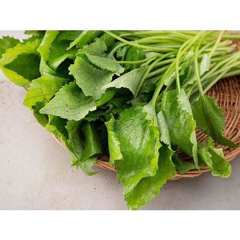 손질 걱정 없이 즐기는 향긋한 국내산 취나물