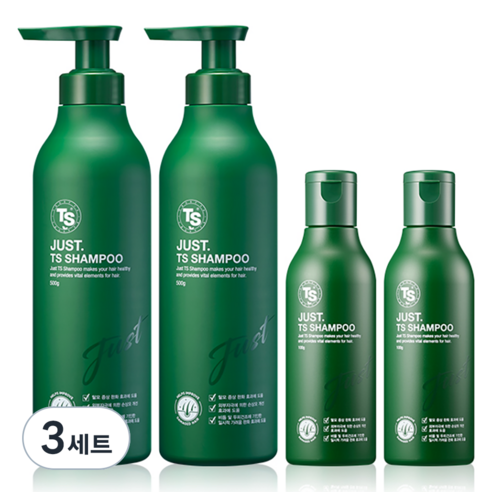 TS 저스트 샴푸 500g x 2개 + 100g x 2개, 3개, 1.2kg