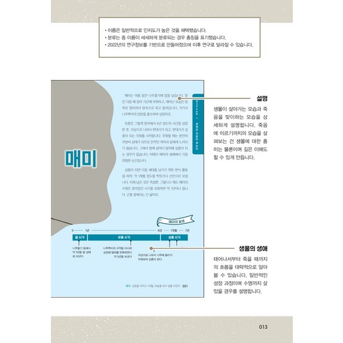 國產圖書圖書BOOK圖書圖書國產圖書兒童兒童幼兒小學生小學生小學生