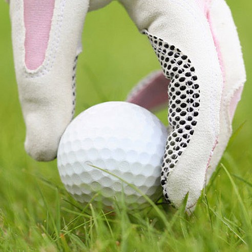 합리적인 가격으로 즐기는 프리미엄 골프, WSD 로스트볼