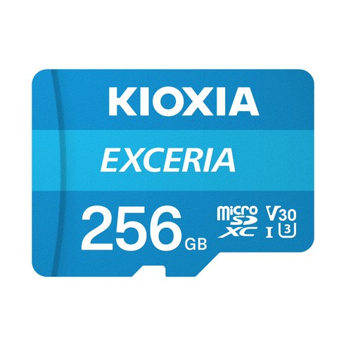 키오시아 EXCERIA 마이크로 메모리 카드 홈캠 블랙박스 CCTV SD LMEX1L256GG2, 256GB