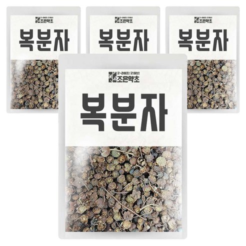 조은약초 건조 복분자, 600g, 4개
