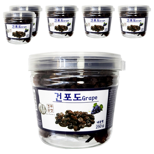 로얄푸드 건포도 용기, 250g, 6개