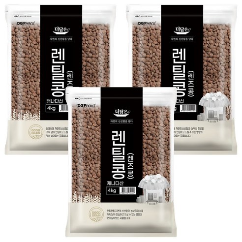 더담은 렌틸콩 렌즈콩, 4kg, 3개
