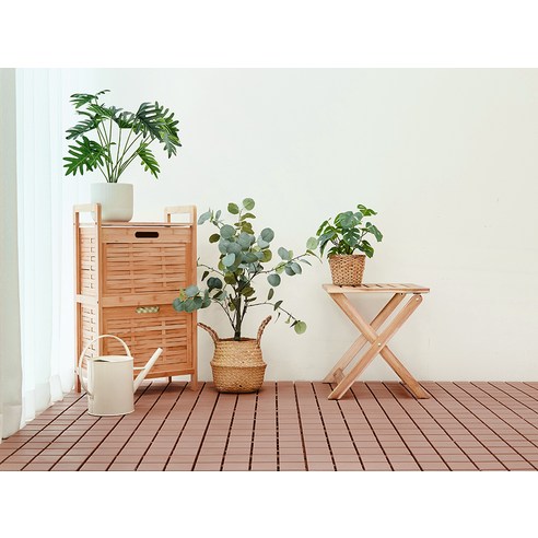 Content Image 3