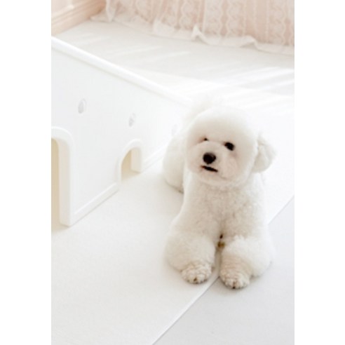 안전하고 즐거운 놀이를 위한 최적의 선택