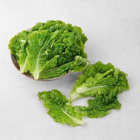 곰곰 국내산 GAP 청상추, 300g, 1봉