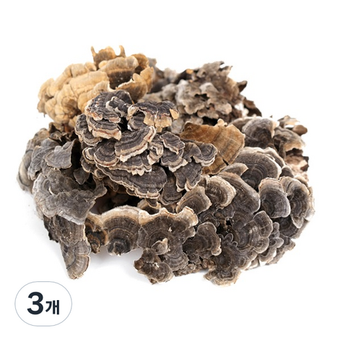 신선약초 운지버섯, 300g, 3개