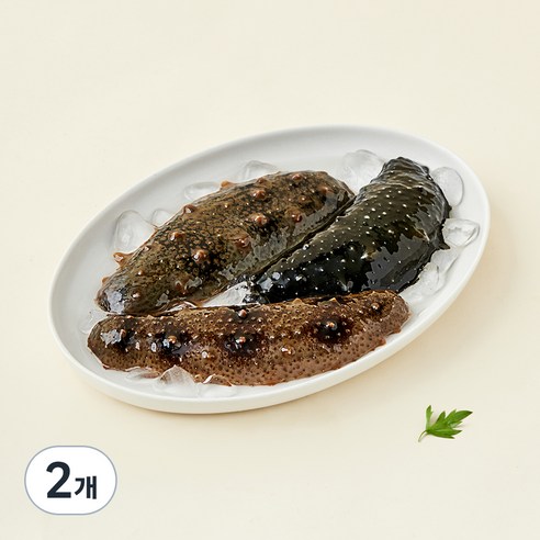 남해안 산지직송 자연산 생물 해삼 (냉장), 500g, 2개