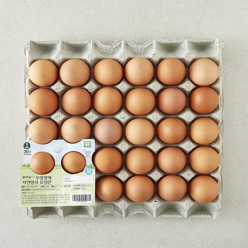 곰곰 무항생제 자연방사 유정란, 1개, 30구
