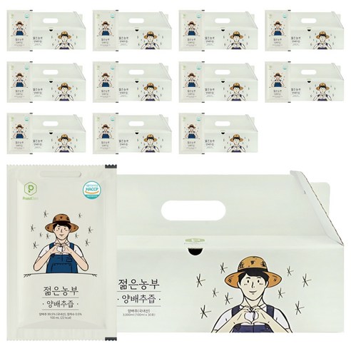 푸릇담 국내산 젊은농부 양배추즙, 3L, 12개