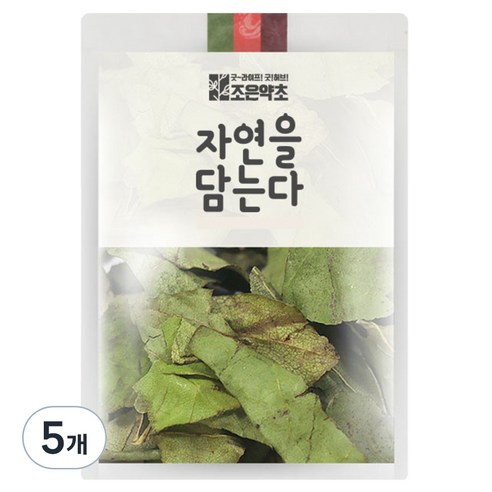 조은약초 구지뽕 잎, 200g, 5개