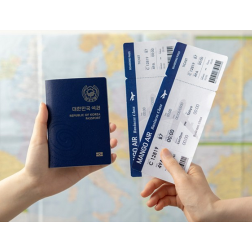 여행의 설렘을 오롯이 담아낼 투명한 동반자, 아펙토 여권지갑