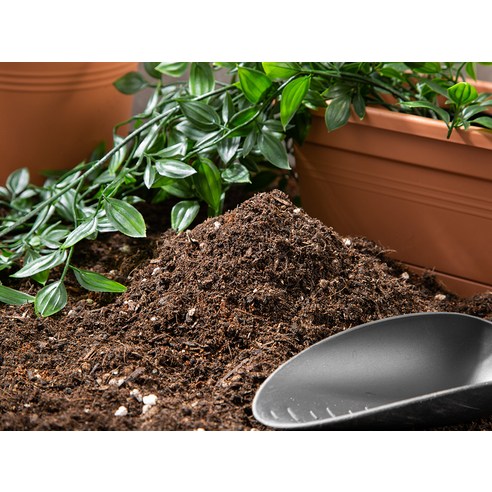 생명의 기운을 불어넣는 마법, 탐사 화분갈이 혼합토