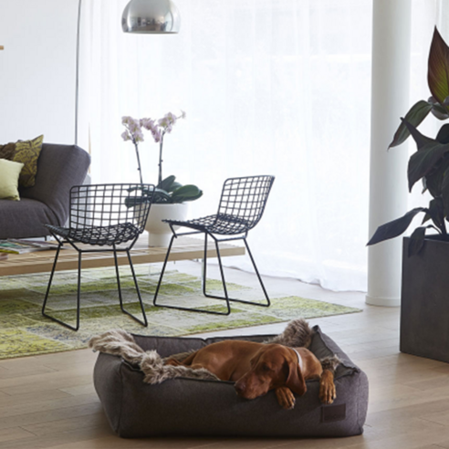 미아카라 NUBE Dog Cushion 강아지 침대, Tobacco, 1개