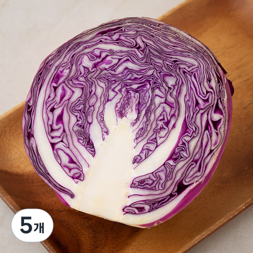친환경 적채 500g, 5개