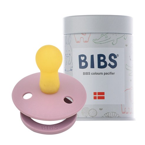 BIBS 데니쉬 공갈 젖꼭지 + 하드케이스, 2단계(6~18개월), 헤더