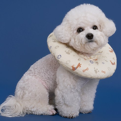 사랑하는 반려동물을 위한 포근하고 스타일리시한 도그아이 목화솜 쿠션 넥카라