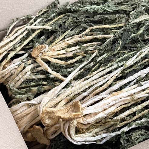 乾菜 食品 食品油煙 生鮮 蔬菜 干菜 陽谷白木 白木1kg 衝球白木 江原白木