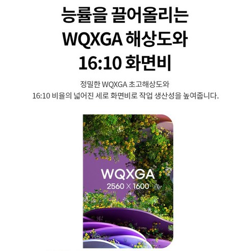 LG전자 그램 +View2: 최상의 업무 환경을 위한 WQXGA 디스플레이