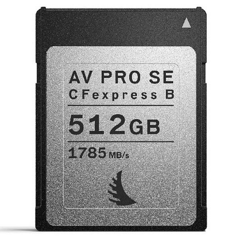 엔젤버드 메모리카드 AV PRO CFexpress SE Type B, 512GB