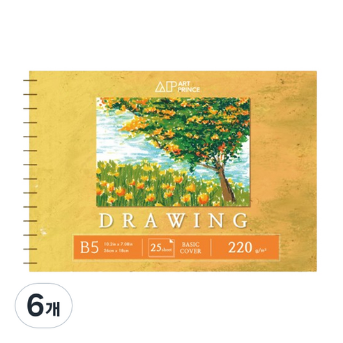 두성 아트프린스 드로잉 스프링 스케치북 220g D05, B5, 25매, 6개