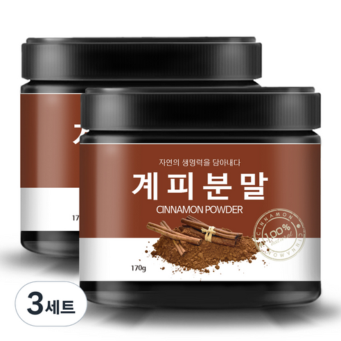 올바른습관 계피분말 170g x 2p + 계량스푼, 3세트