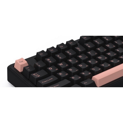 독거미 키보드: 짜릿한 타건감으로 당신의 가능성을 펼쳐내다.