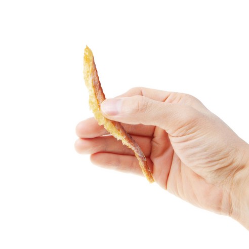 소중한 반려동물을 위한 건강한 선택