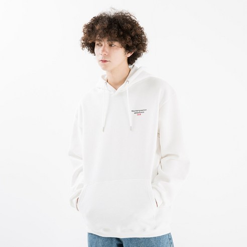 플루크 써클 마운틴 후드티셔츠 FHT206