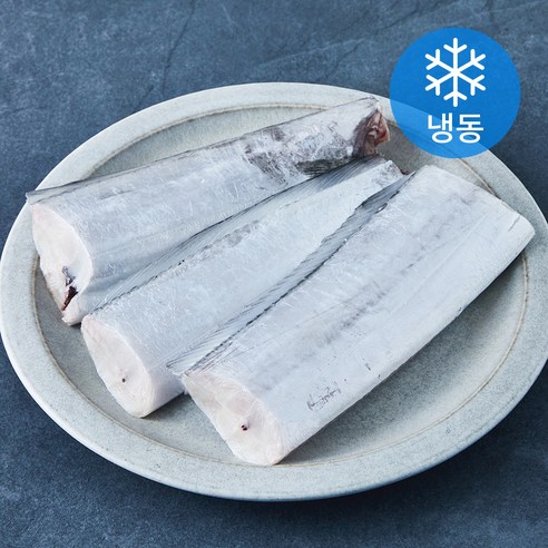 맛있는제주 제주 은갈치 (냉동), 1개, 500g