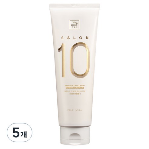 미쟝센 살롱 10 헤어트리트먼트 손상모발용, 250ml, 5개